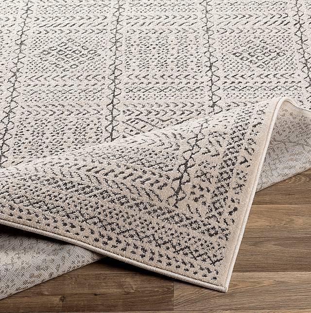 Coner Ivory 7'10 x 10'2 Rug - Thumbnail - Image 4