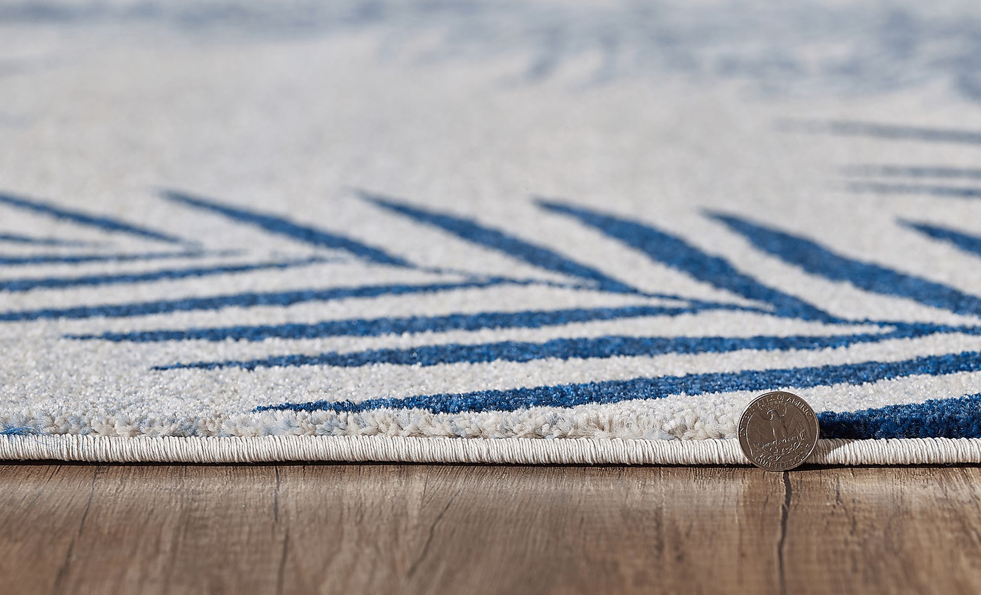 Conivser Ivory 5'3 x 7'7 Rug - Image 4