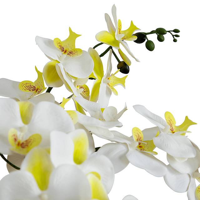 Connellsville White Silk Floral - Thumbnail - Image 3
