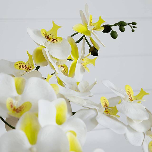 Connellsville White Silk Floral - Thumbnail - Image 4