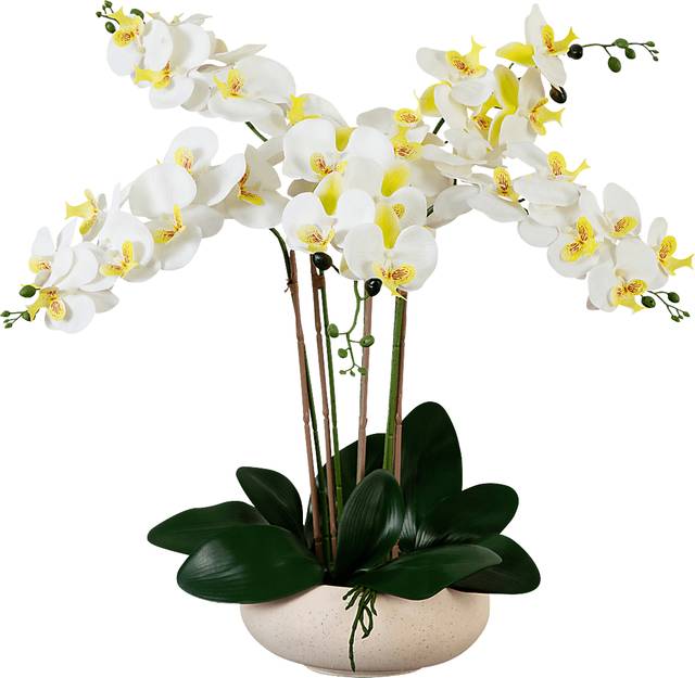 Connellsville White Silk Floral - Thumbnail - Image 1