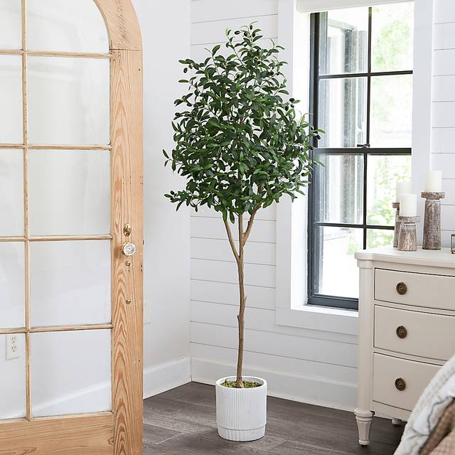 Corvidae Green Tree with Planter - Thumbnail - Image 2