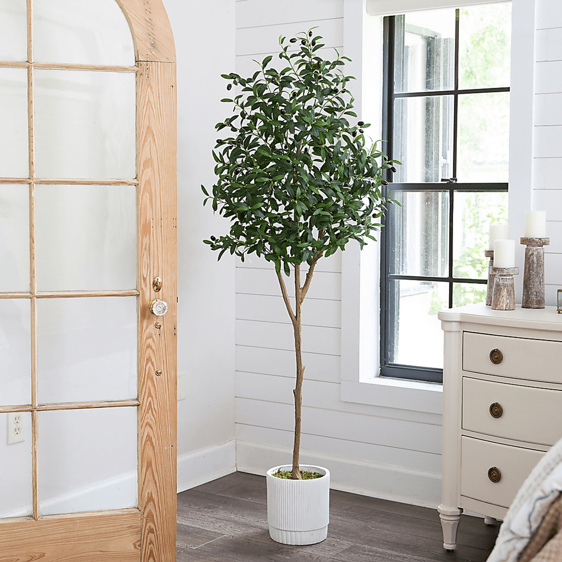 Corvidae Green Tree with Planter - Image 2