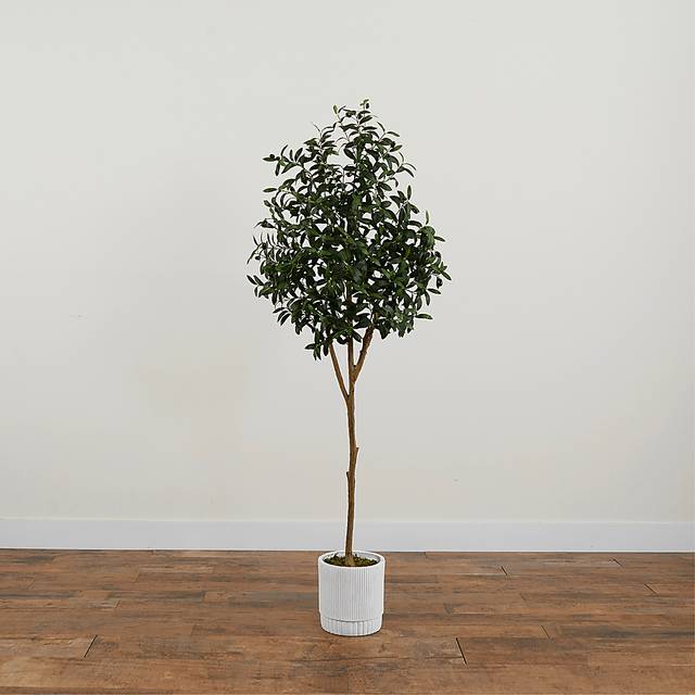 Corvidae Green Tree with Planter - Thumbnail - Image 3