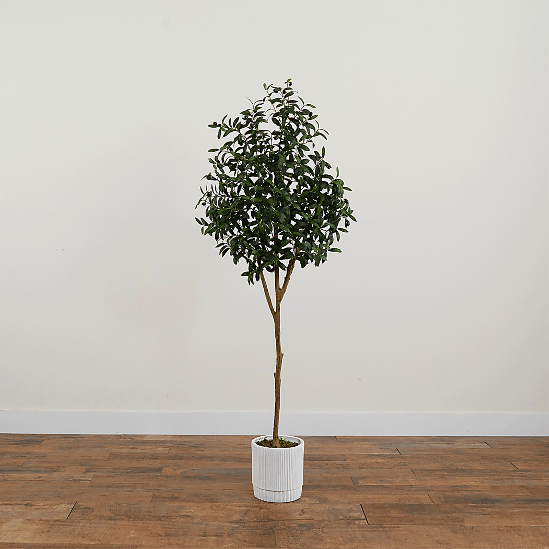 Corvidae Green Tree with Planter - Image 3