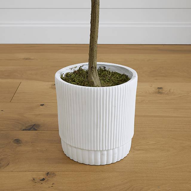 Corvidae Green Tree with Planter - Thumbnail - Image 4