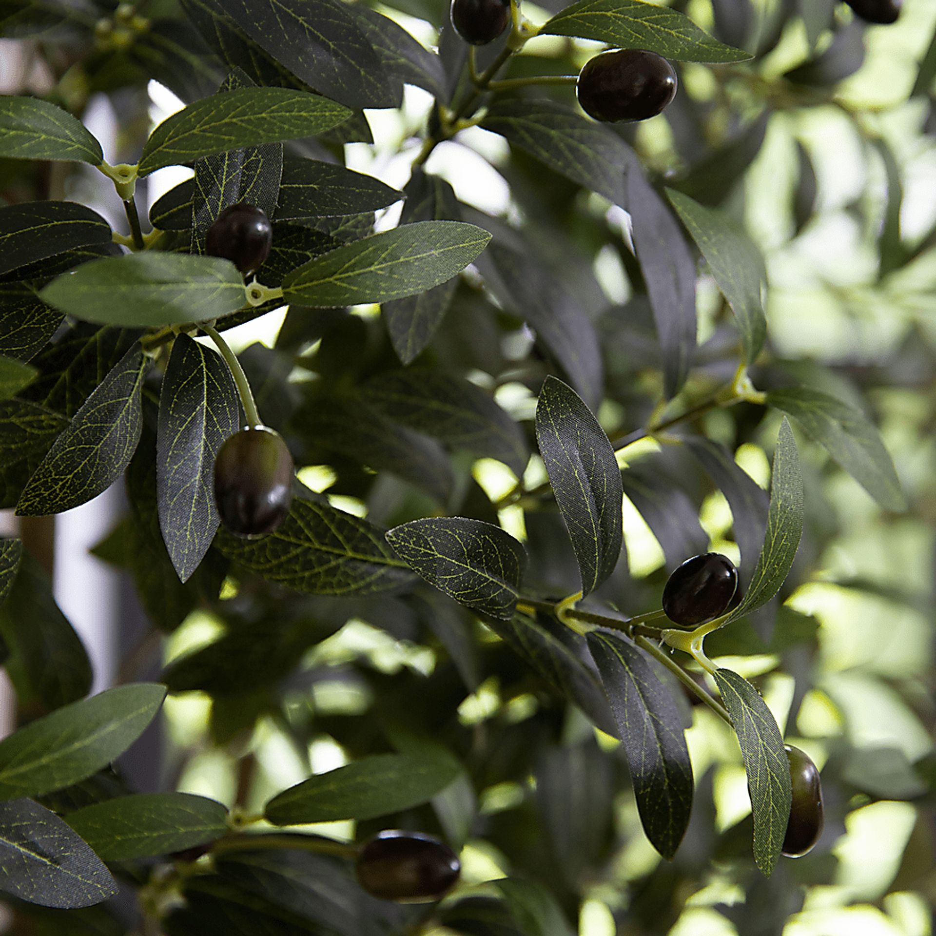 Corvidae Green Tree with Planter - Image 6