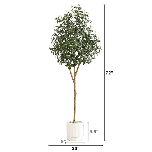 Corvidae Green Tree with Planter - Thumbnail - Image 7