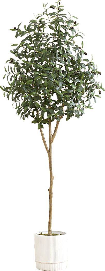 Corvidae Green Tree with Planter