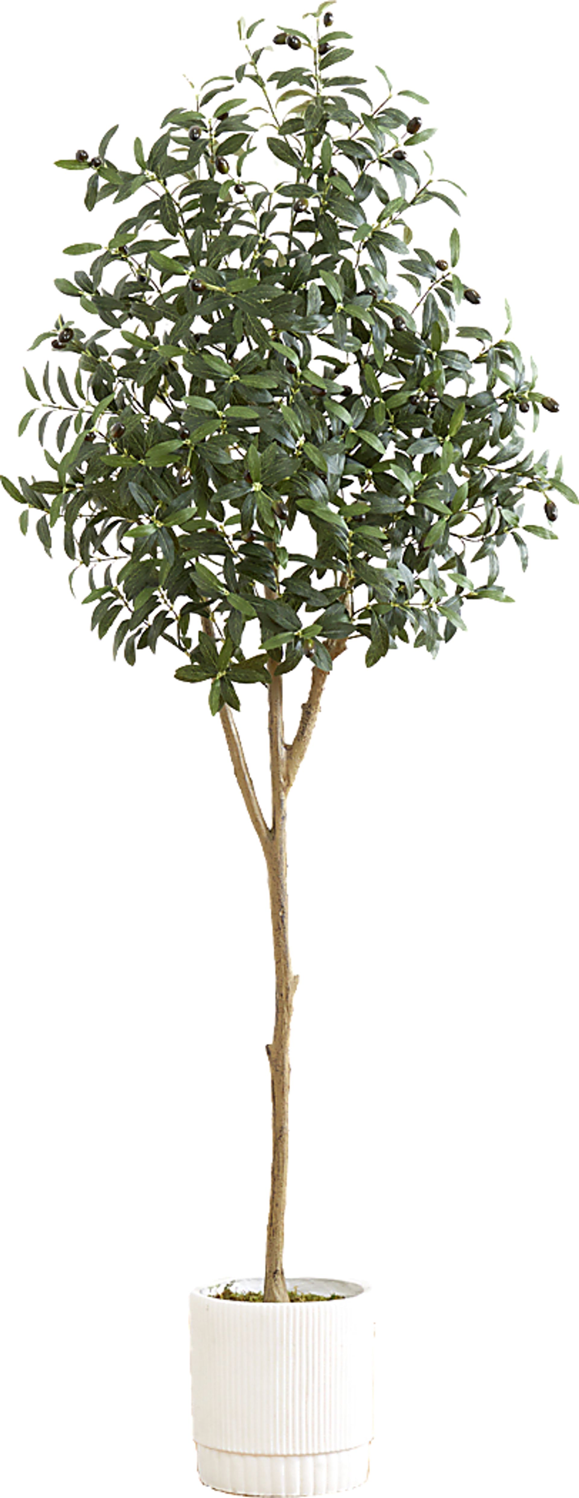 Corvidae Green Tree with Planter - Image 1