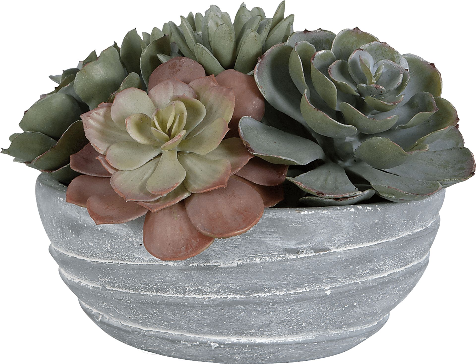 Coura Gray Plant - Image 1