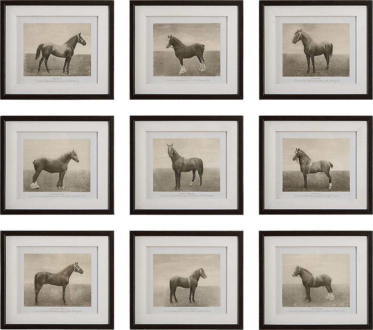 Creot Brown Artwork, Set of 9