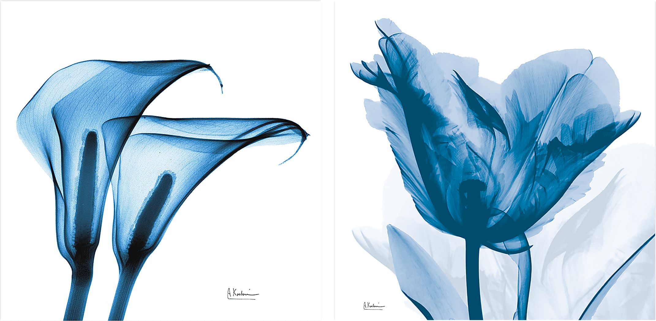 Curnutt Blue Artwork, Set of 2