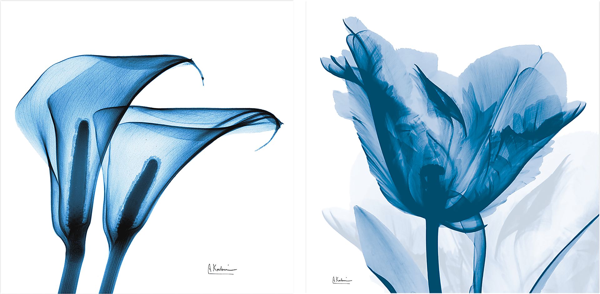 Curnutt Blue Artwork, Set of 2 - Image 1