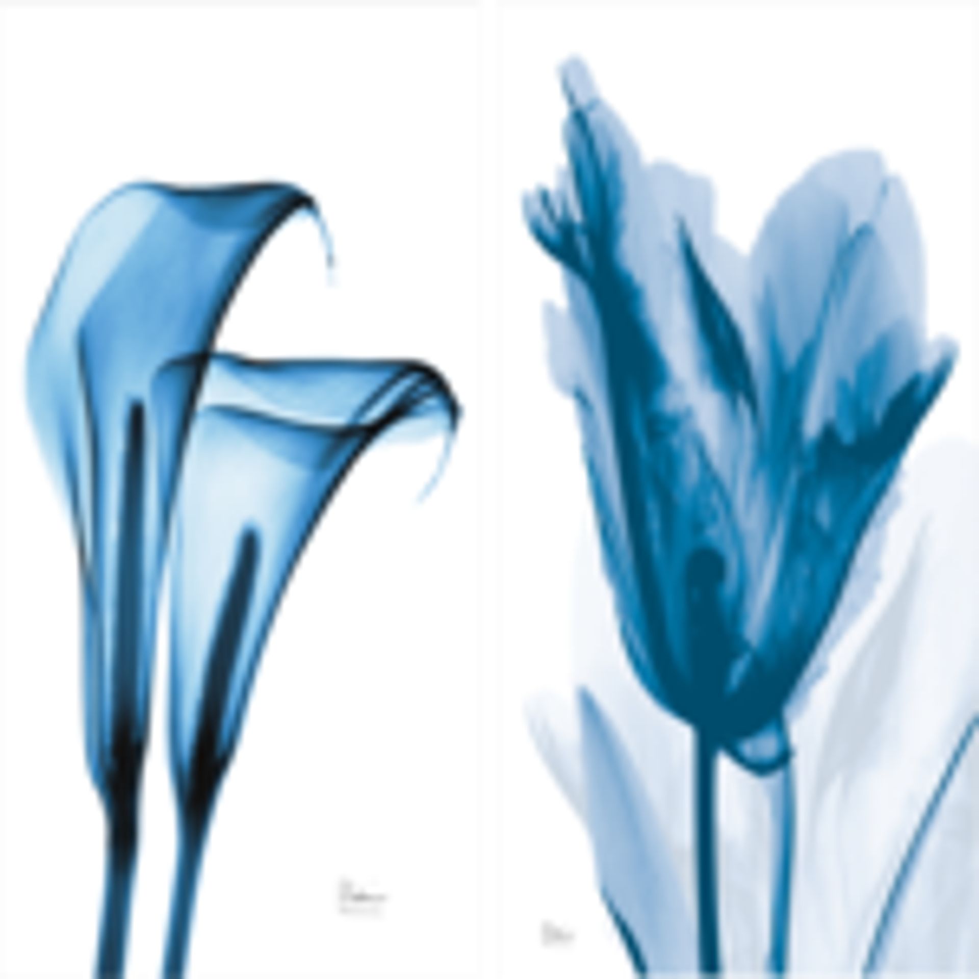 blue