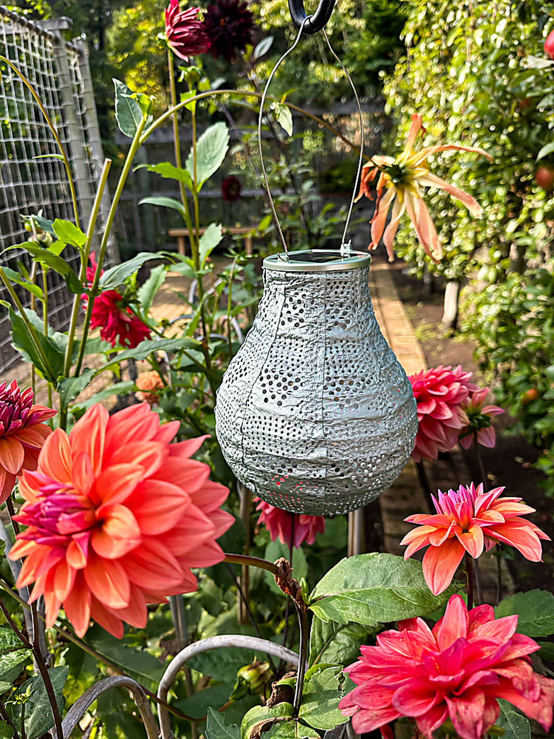 Cyra Creek Outdoor Sage Solar Lantern - Image 11