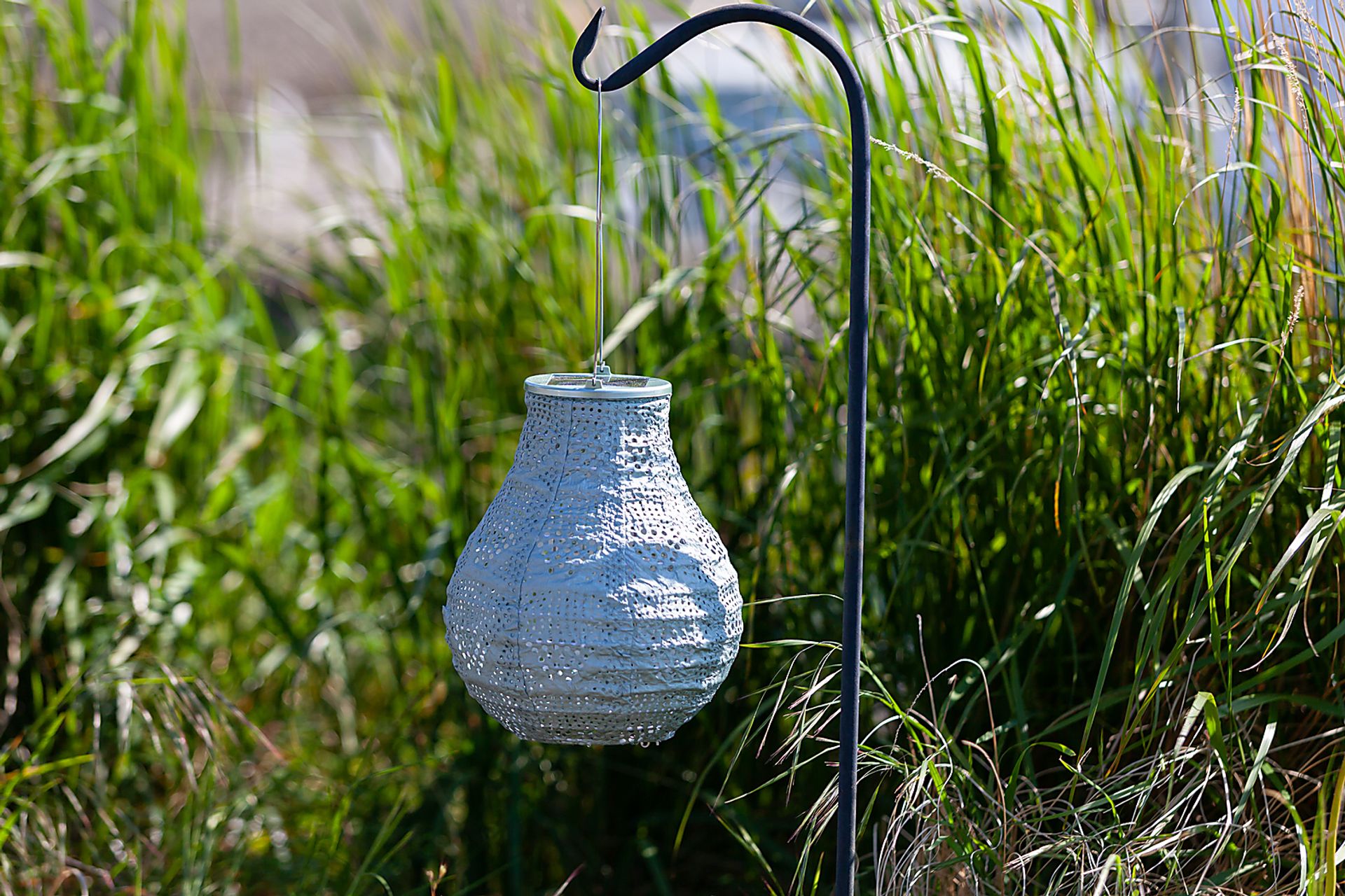 Cyra Creek Outdoor Sage Solar Lantern - Image 4