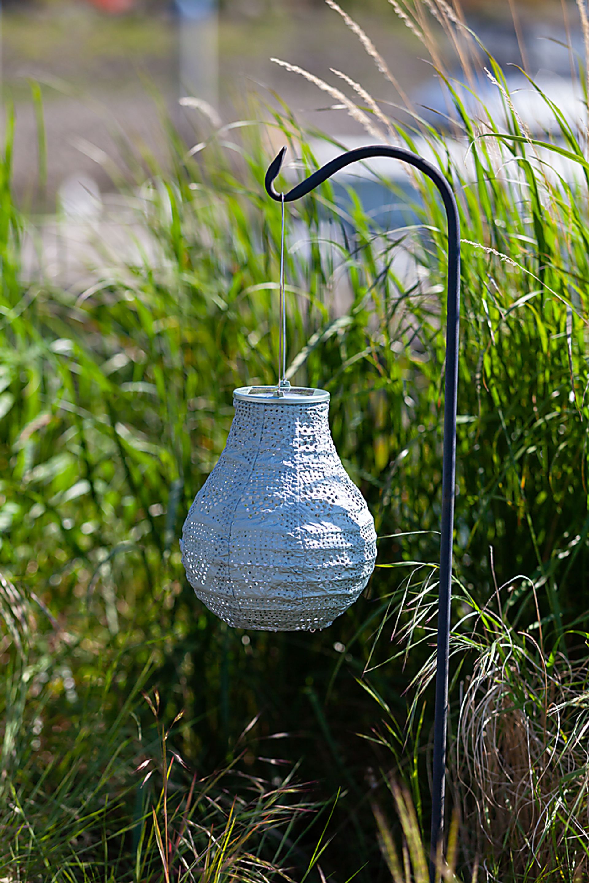 Cyra Creek Outdoor Sage Solar Lantern - Image 5