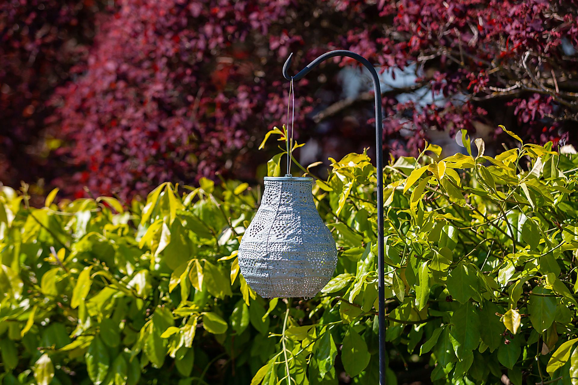 Cyra Creek Outdoor Sage Solar Lantern - Image 6