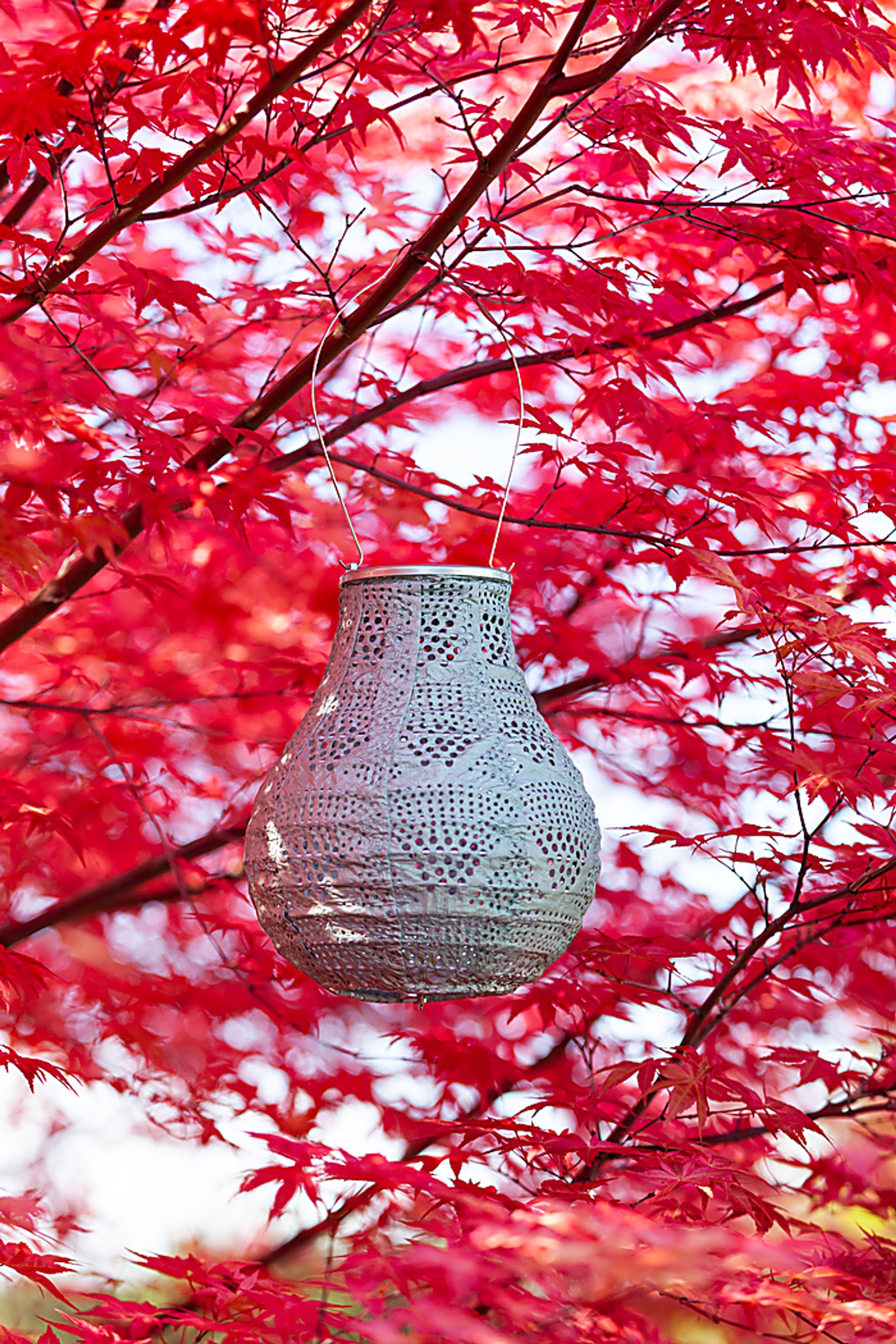 Cyra Creek Outdoor Sage Solar Lantern - Image 8