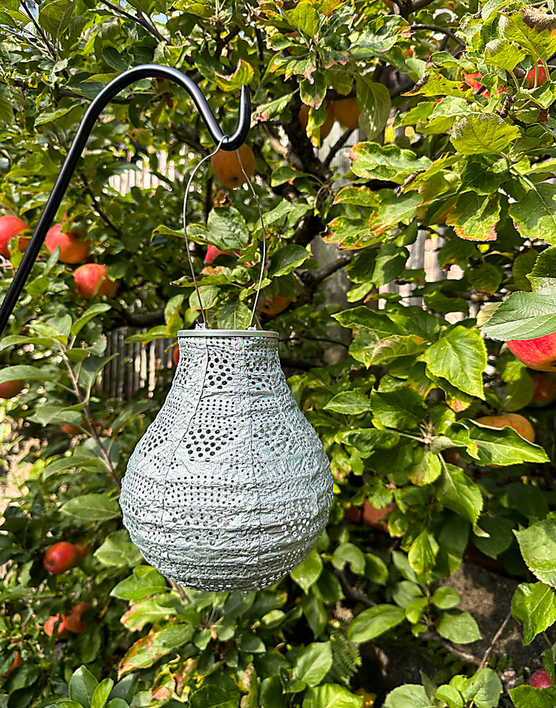 Cyra Creek Outdoor Sage Solar Lantern - Image 10