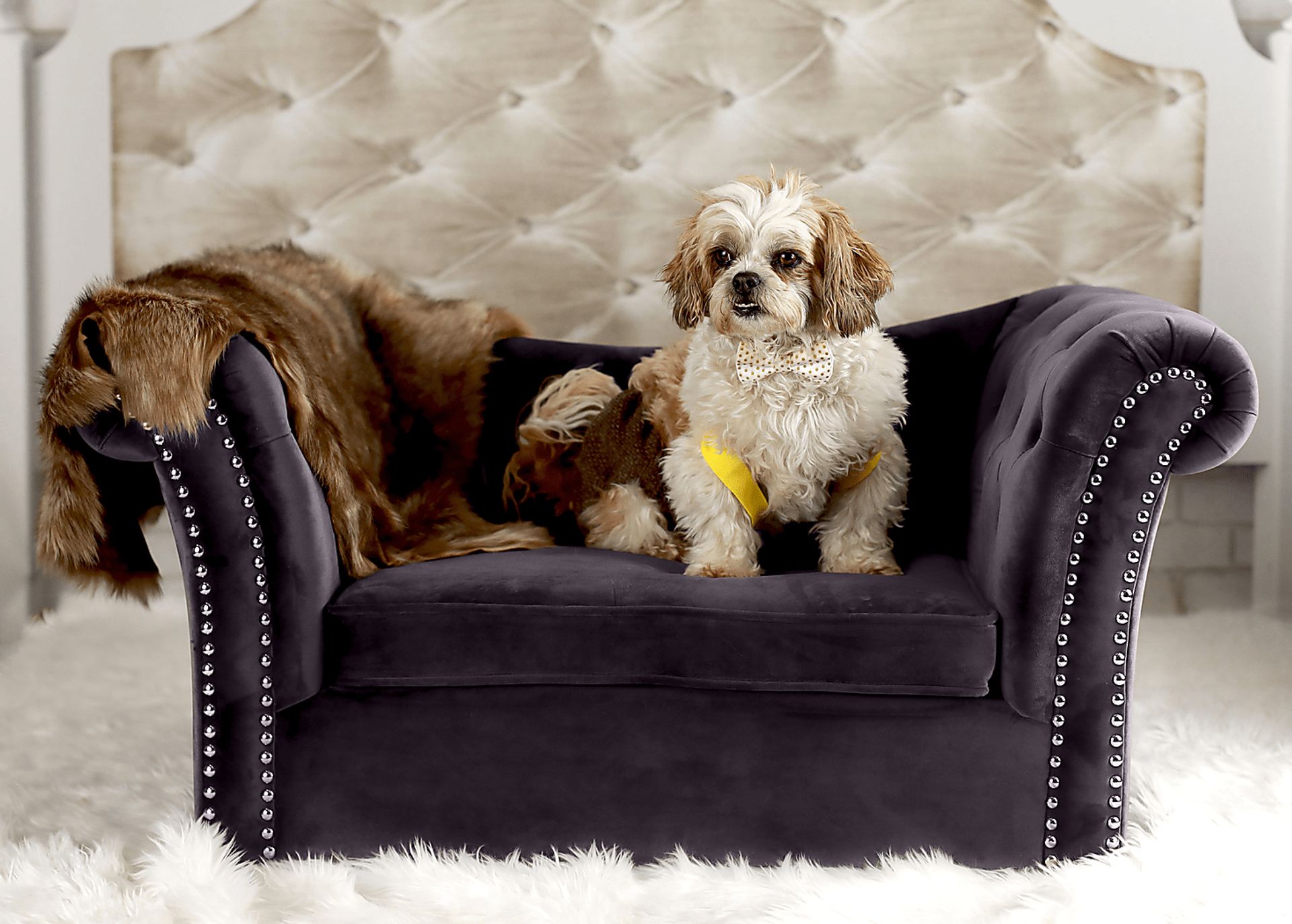 Dachshund Gray Pet Bed - Image 2