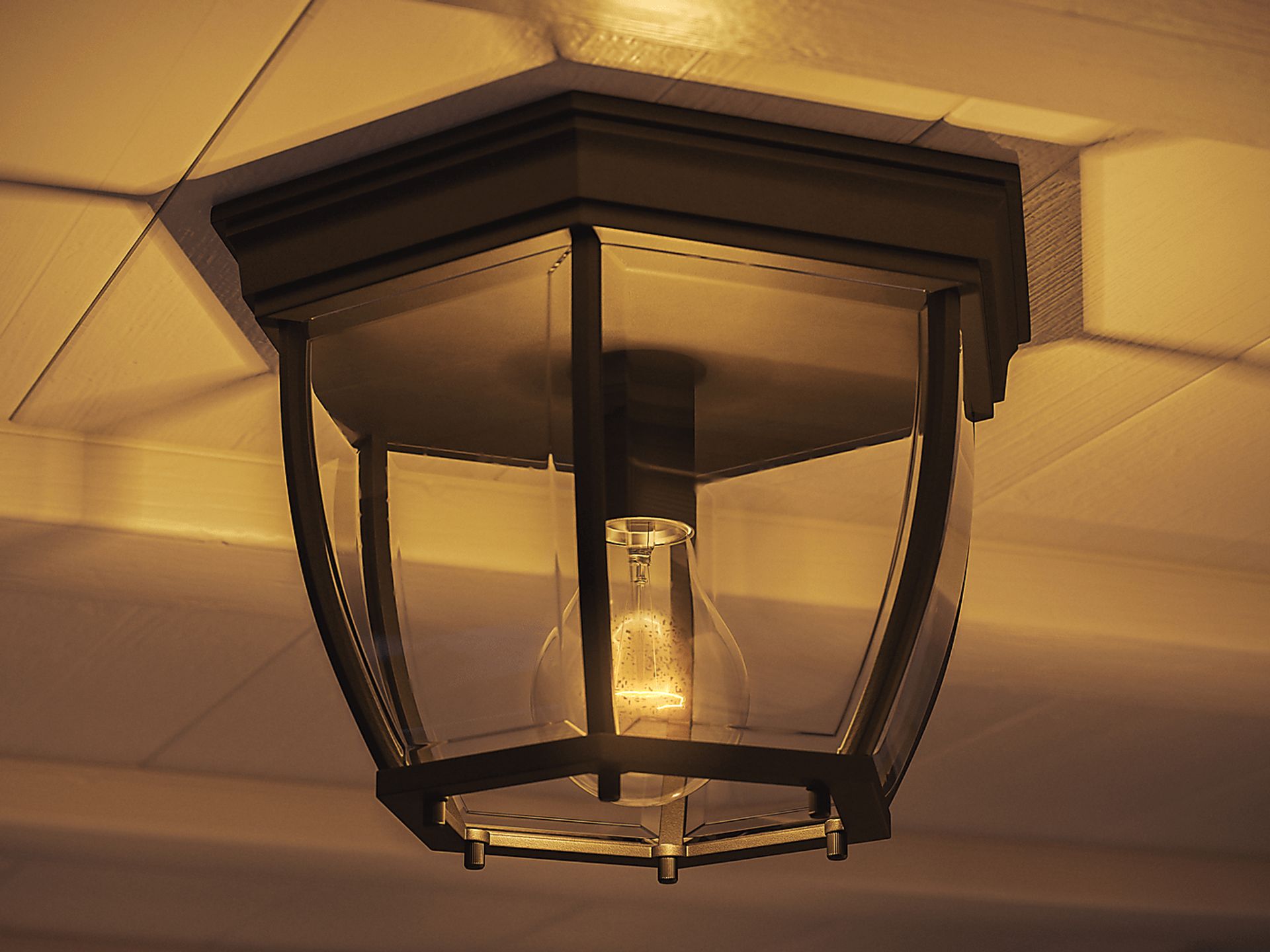 Dalea Black Outdoor Chandelier - Image 10