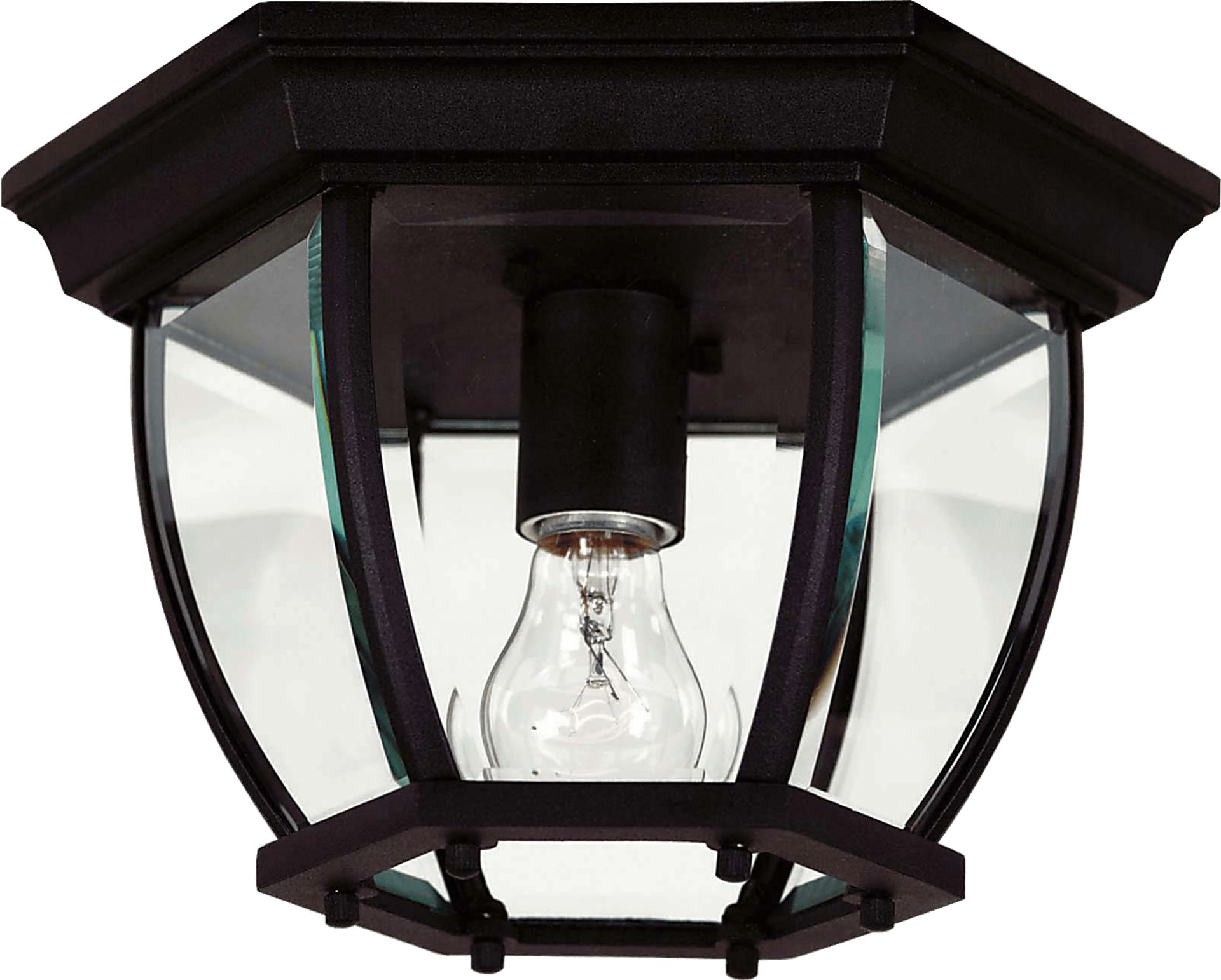 Dalea Black Outdoor Chandelier - Image 1