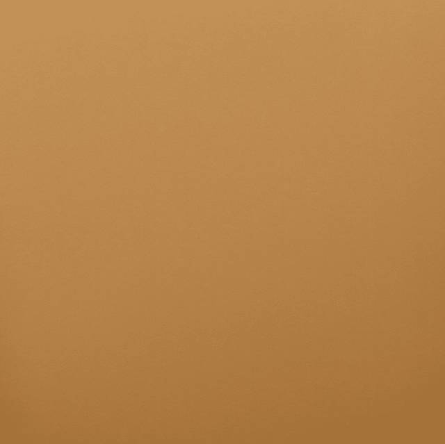 Daphia Tan Arm Chair - Thumbnail - Image 7