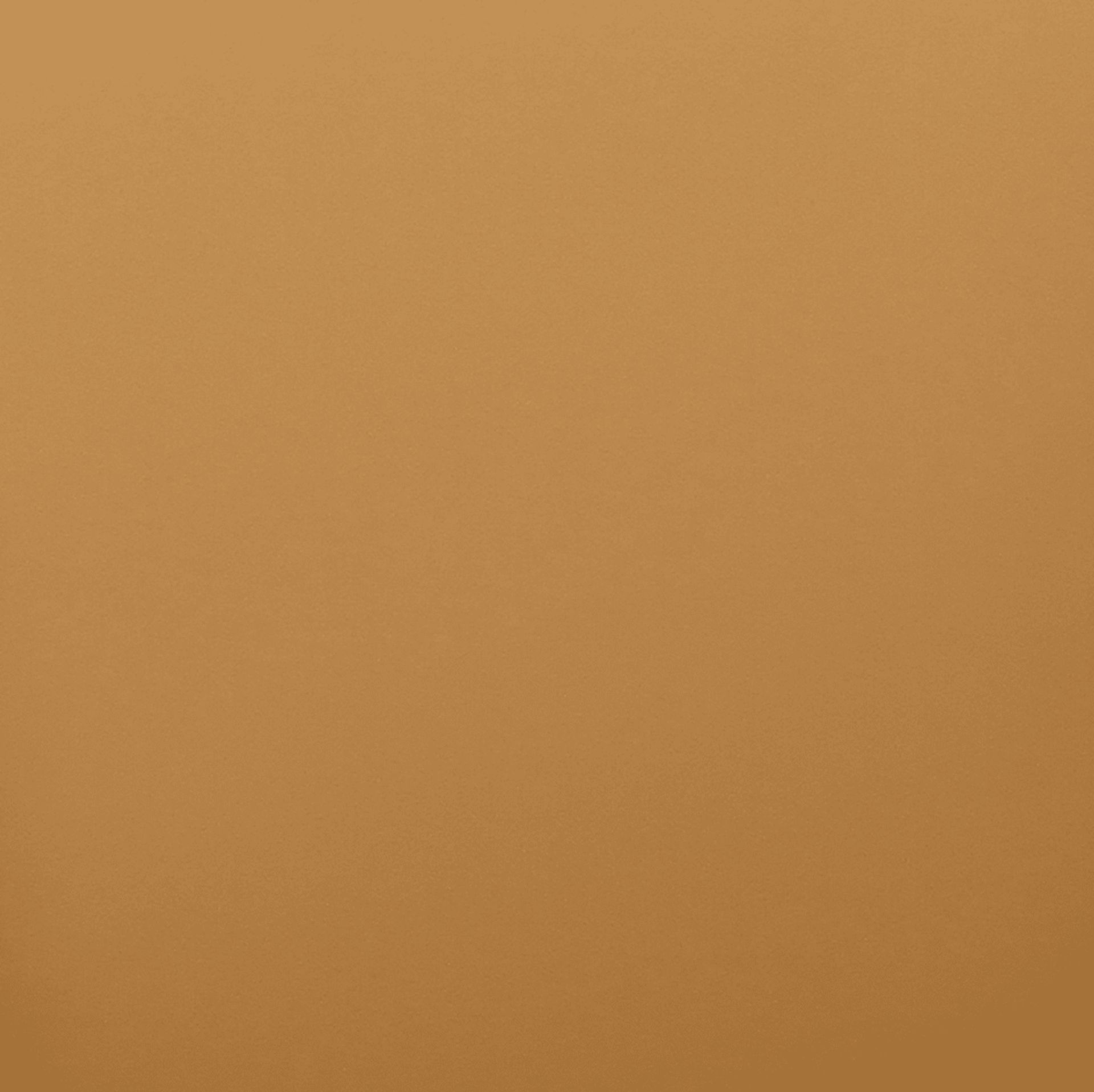 Daphia Tan Arm Chair - Image 7
