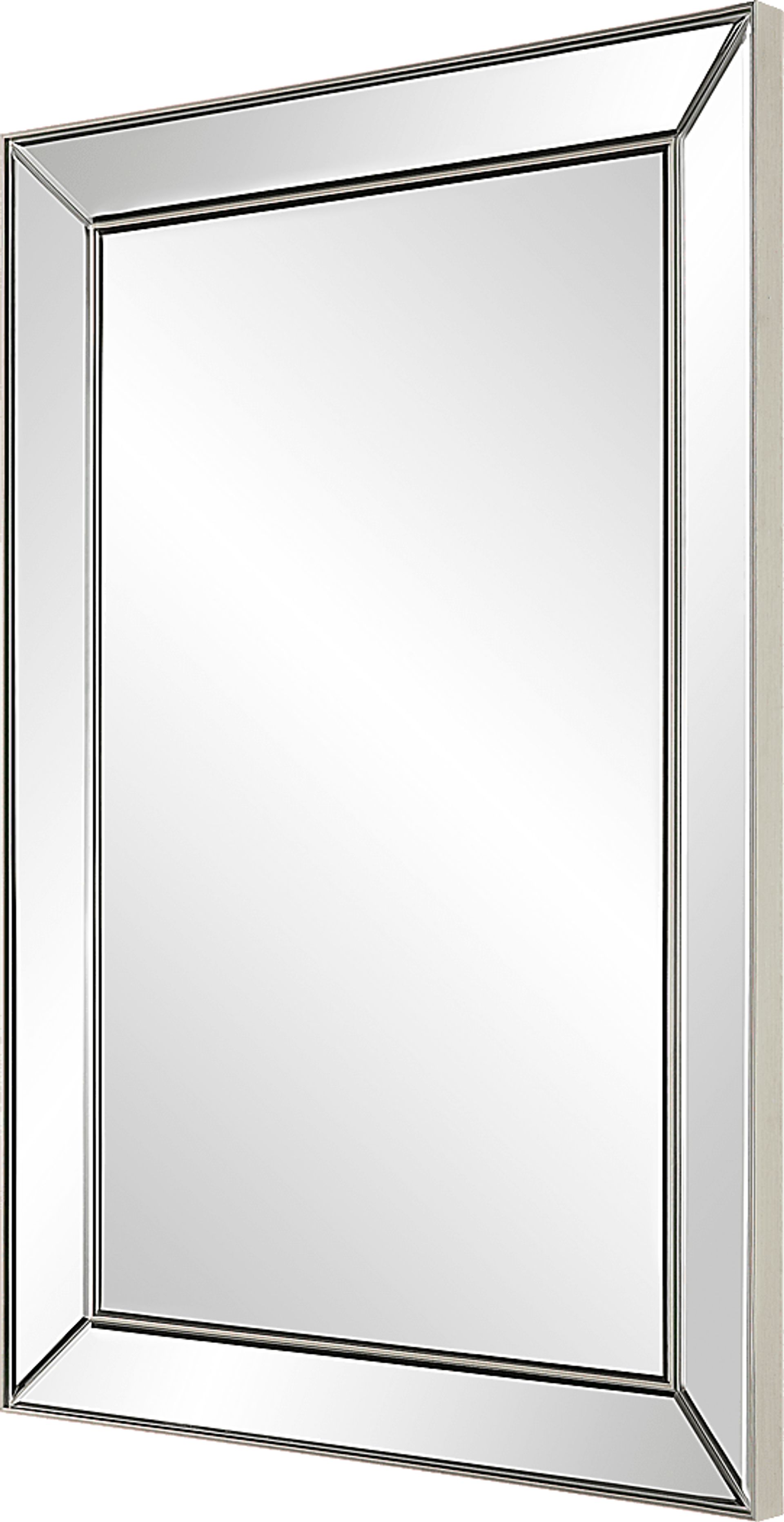 Daphnea Silver Mirror - Image 4