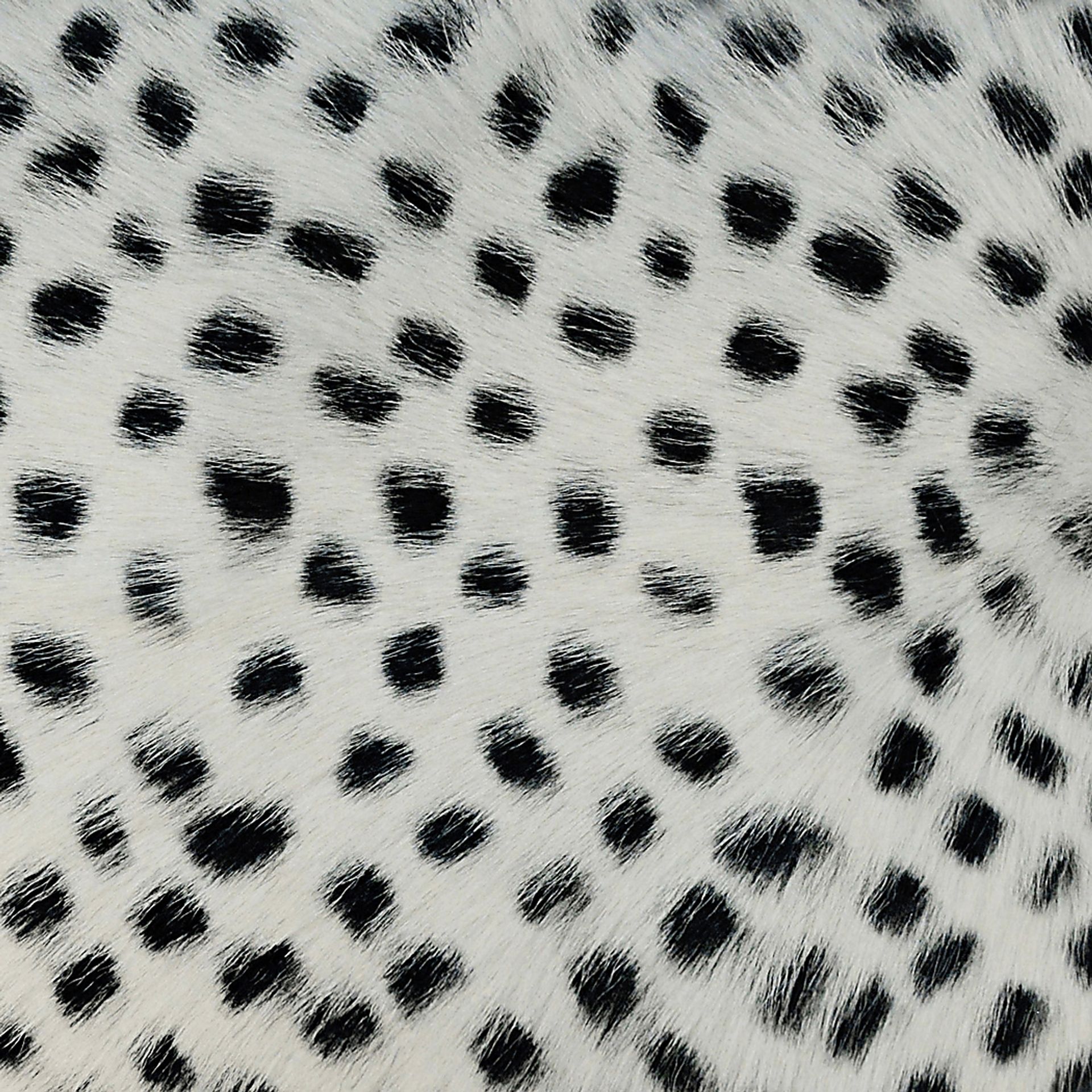 Darcy Elle II White Pillow - Image 2
