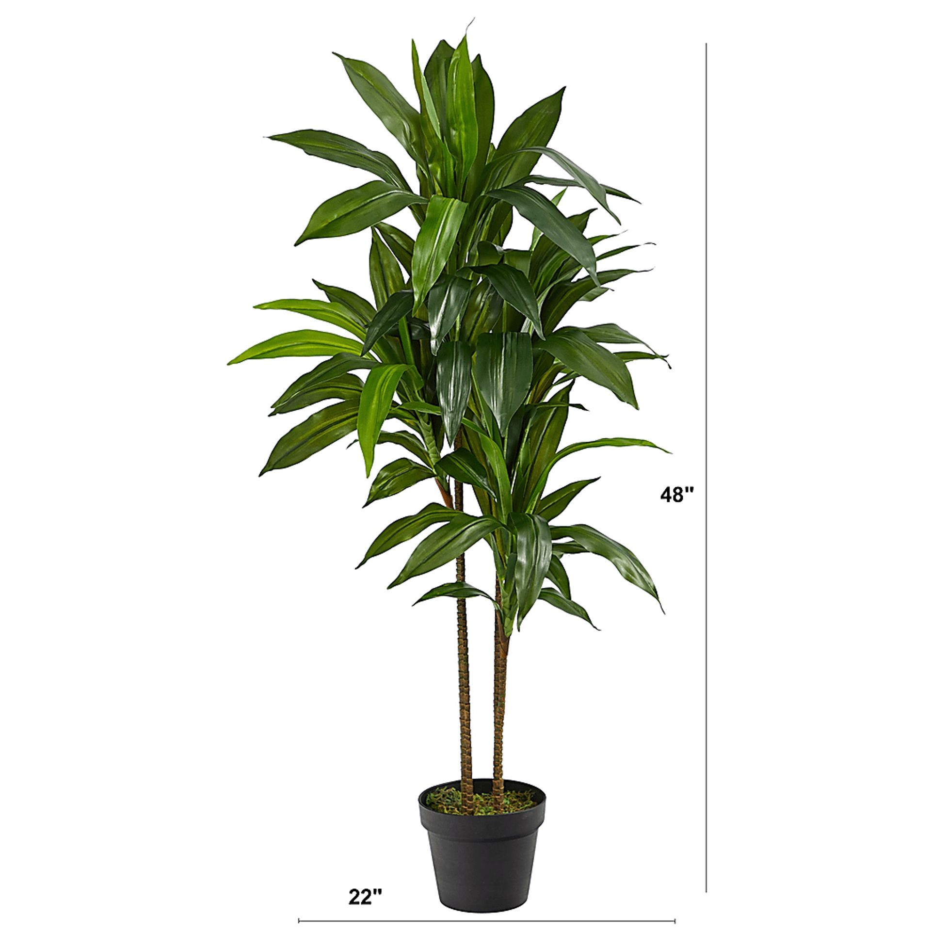 Darian Green Dracaena Silk Tree - Image 3