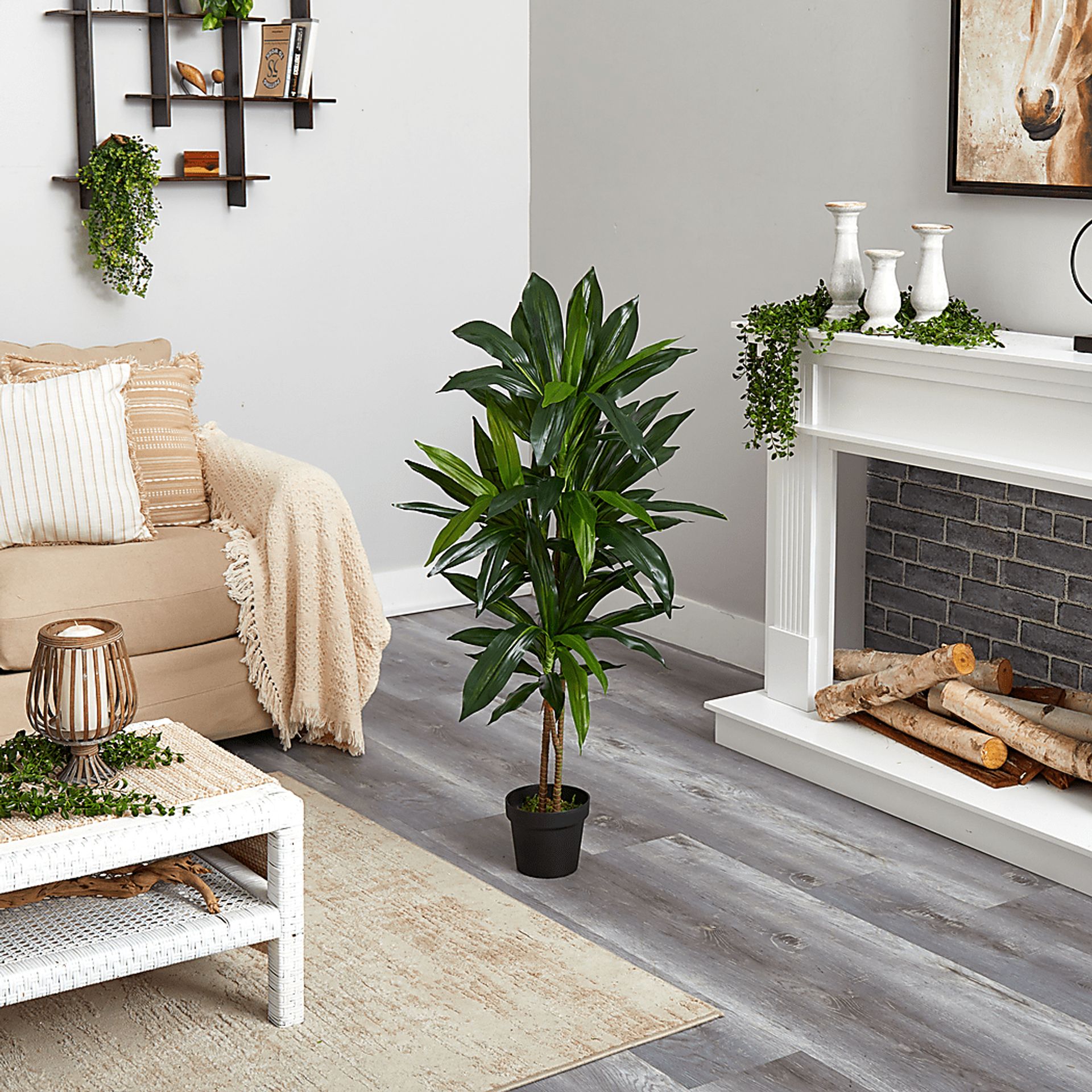 Darian Green Dracaena Silk Tree - Image 4