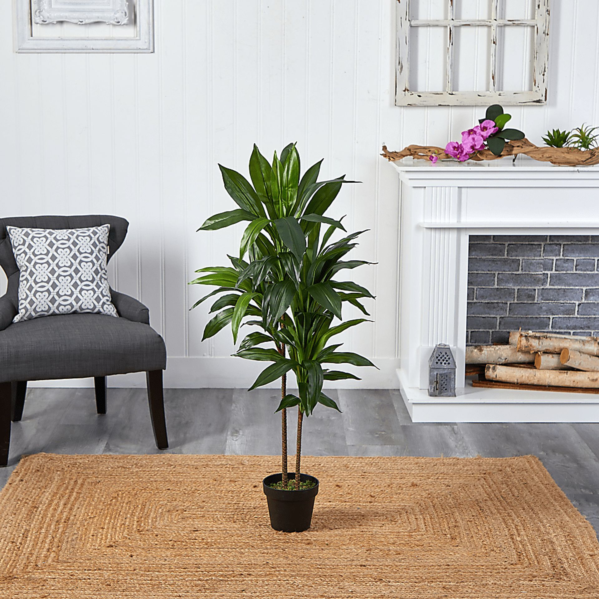Darian Green Dracaena Silk Tree - Image 5
