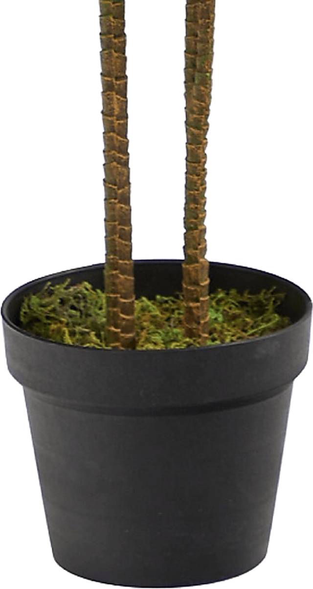 Darian Green Dracaena Silk Tree - Thumbnail - Image 8