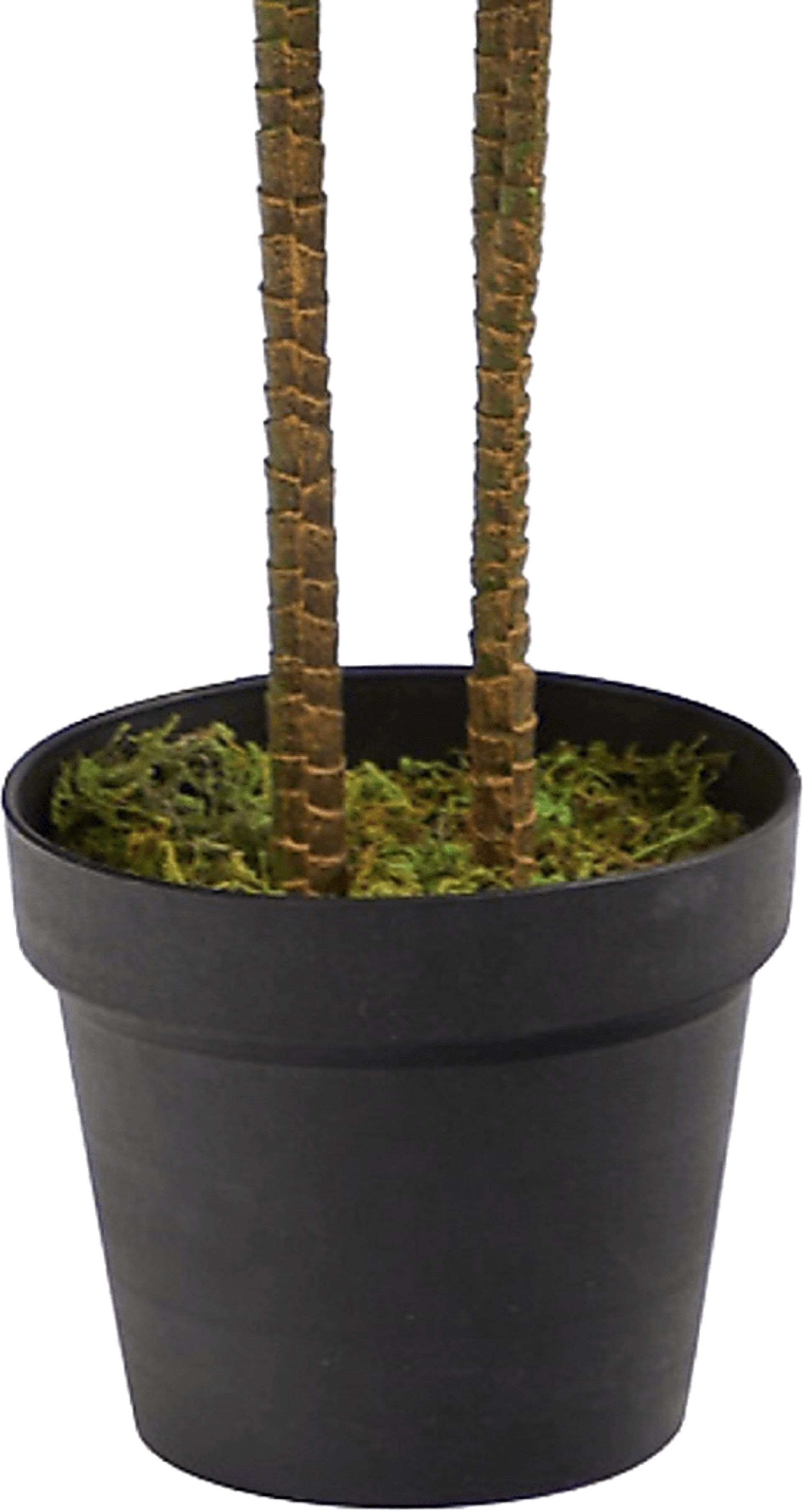 Darian Green Dracaena Silk Tree - Image 8