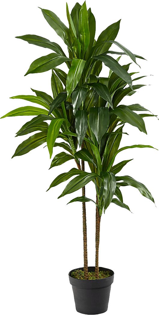 Darian Green Dracaena Silk Tree