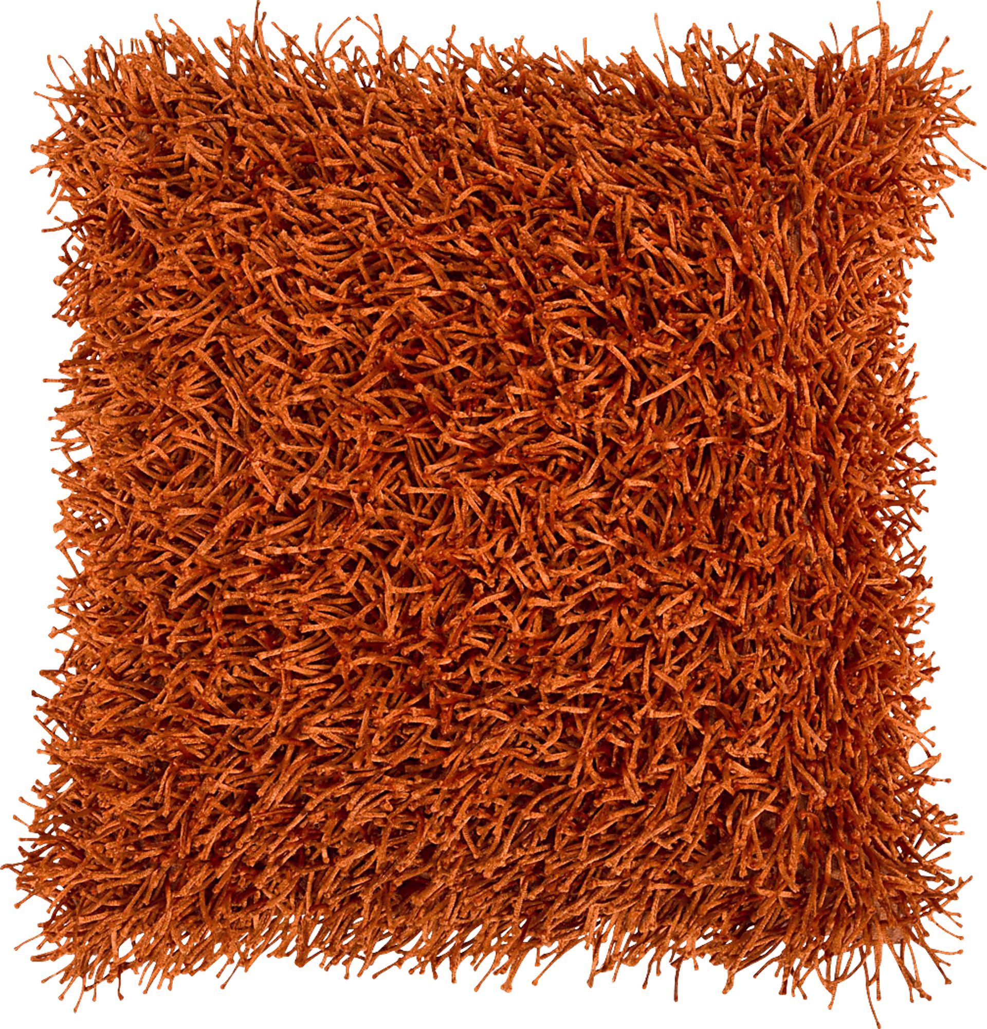 Darling Visions Orange Accent Pillow - Image 1
