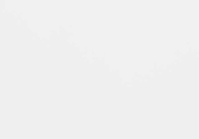 Dashby White Arm Chair - Thumbnail - Image 5