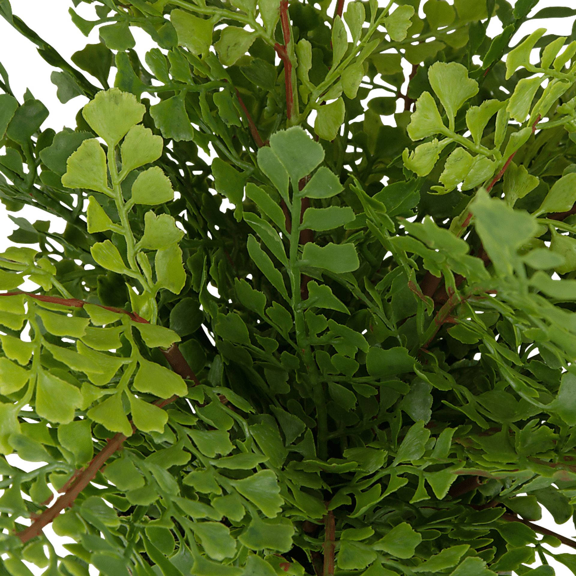 Daski Green Silk Plant - Image 2