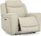 Davidson Leather Dual Power Recliner