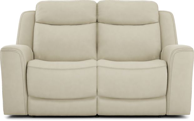 Davidson Platinum Leather Loveseat