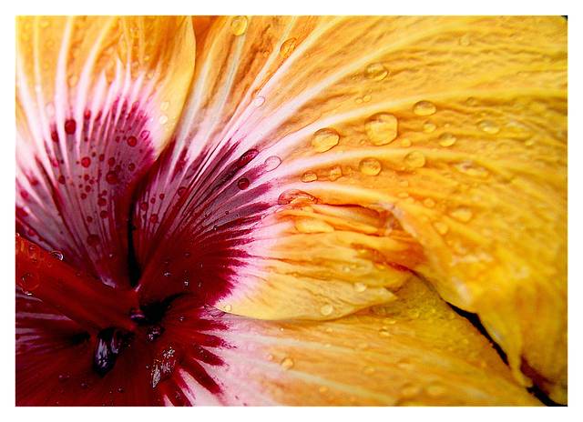 Dawnview Artwork - Thumbnail - Image 1