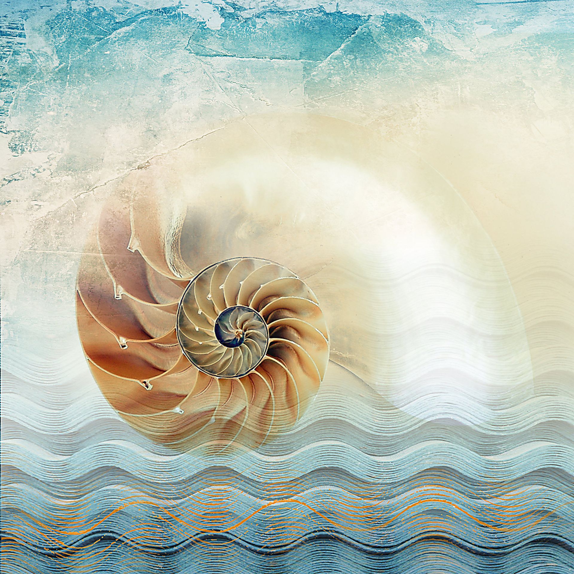 Daylight Shell Yellow Artwork - Image 1