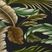 Decanso Black 5' x 8' Rug