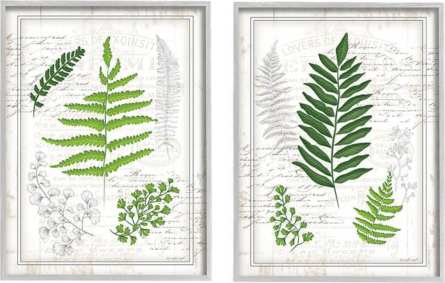 Delicate Ferns Set of 2 Artwork - Thumbnail - Image 1
