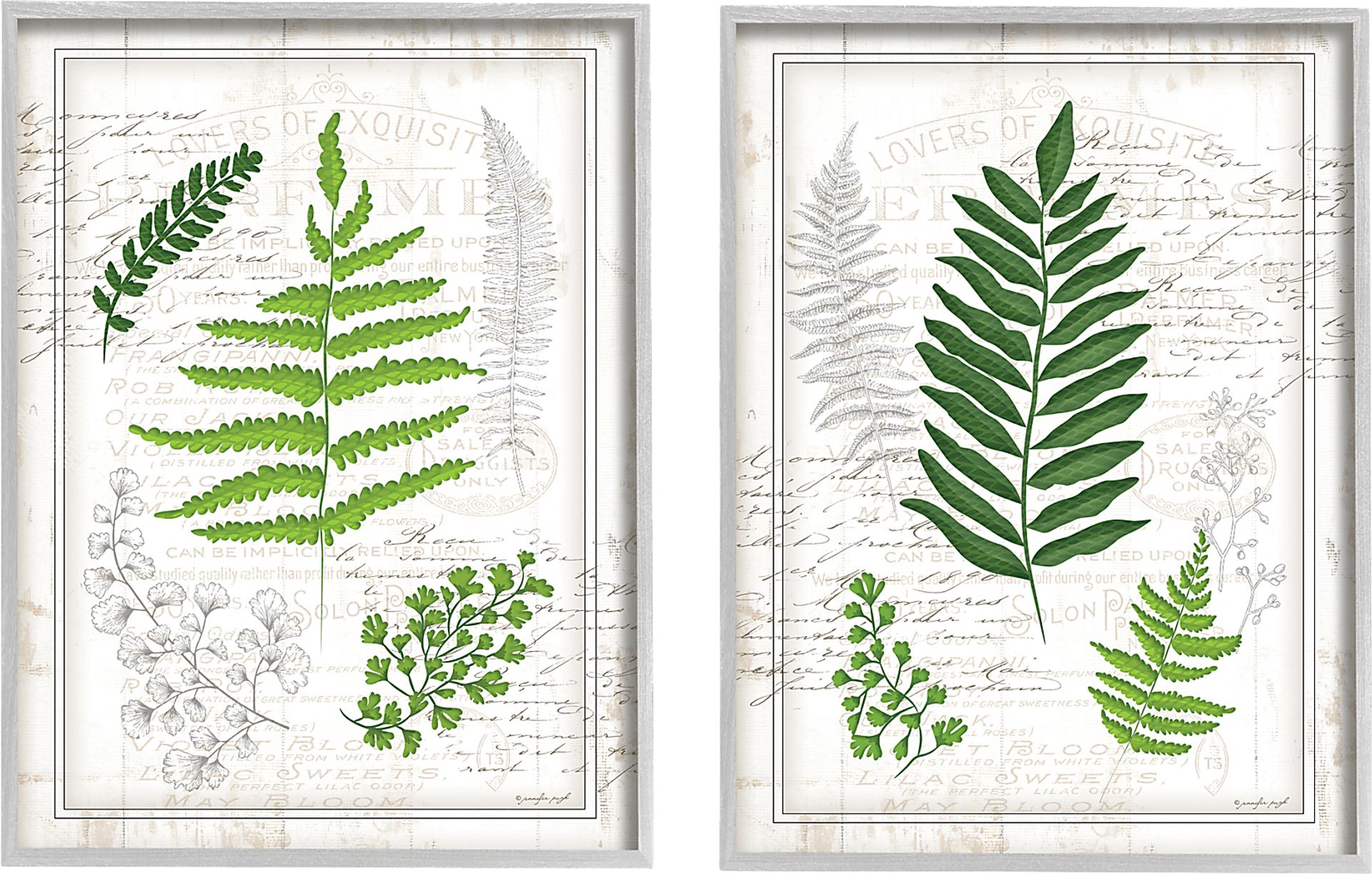 Delicate Ferns Set of 2 Artwork - Image 1