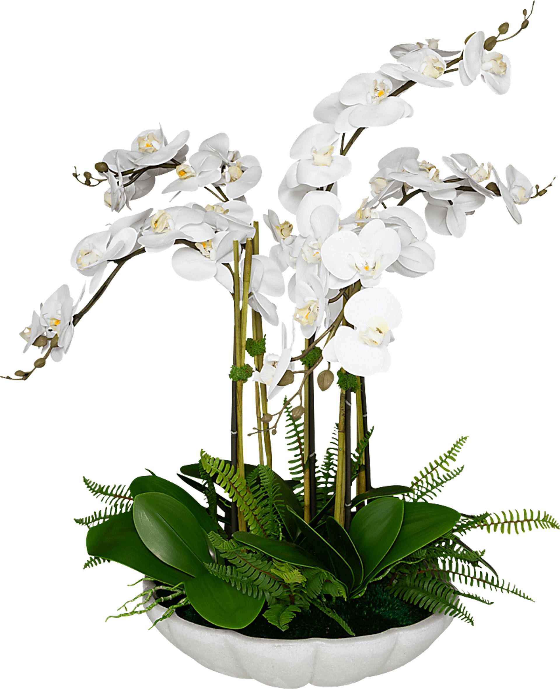 Delina White Silk Plant - Image 1