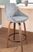 Dellrey Silver Counter Height Stool, Set of 2